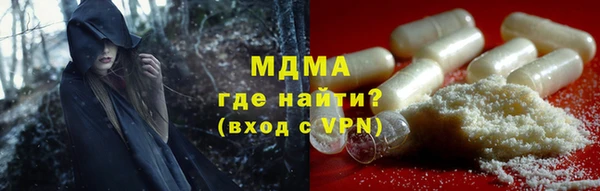 стаф Алзамай