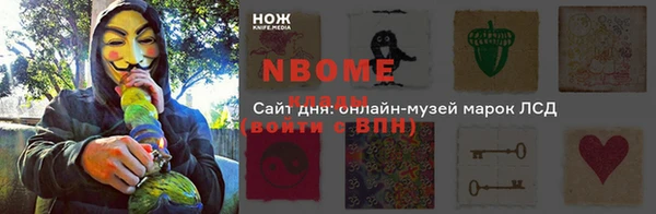стаф Алзамай
