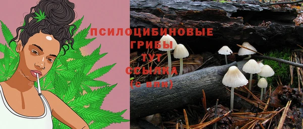 а пвп мука Алексин